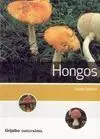 Hongos
