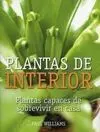 Plantas de Interior