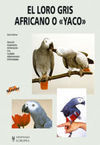 EL LORO GRIS AFRICANO O YACO