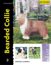 BEARDED COLLIE