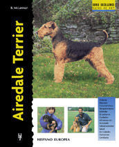 AIREDALE TERRIER (EXCELLENCE)