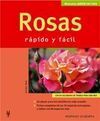 ROSAS (JARDÍN EN CASA)