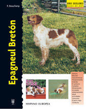 EPAGNEUL BRETÓN