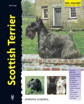 Scottish Terrier