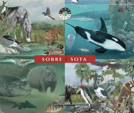 Sobre I Sota