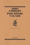 POR DÓNDE VAGARÉ