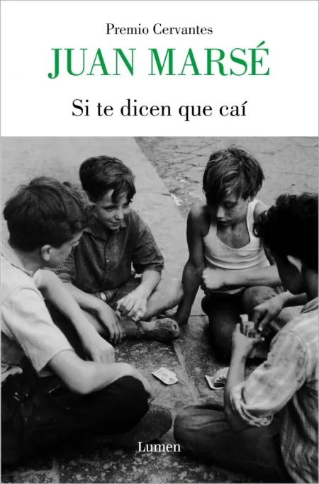 Si te Dicen que Caí