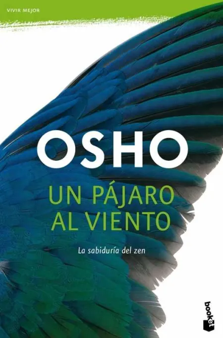 Un Pájaro Al Viento
