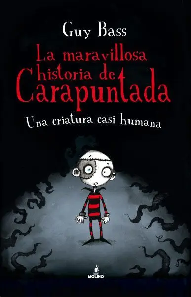 La Maravillosa Historia de Carapuntada