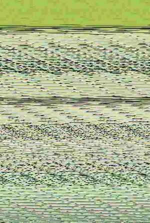 SANTA CLARA 4 - SEGUNDO CURSO EN SANTA CLARA