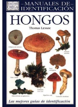 HONGOS