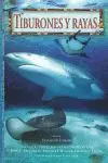 Tiburones y Rayas