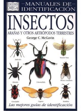 INSECTOS