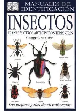 Insectos