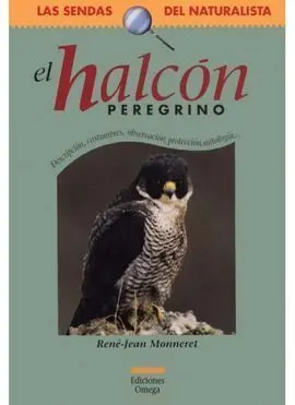 Halcón Peregrino