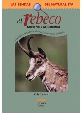 REBECO, NORTEÑO Y MERIDIONAL, EL