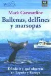 Ballenas, Delfines y Marsopas