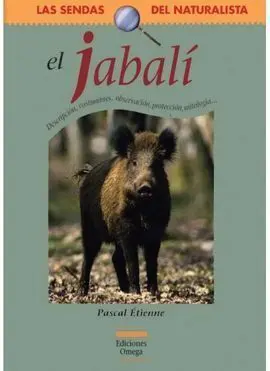 Jabalí, el