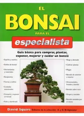 El Bonsai para el Especialista