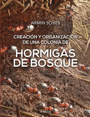 Hormigas de Bosque. Creacion y Organizacion de una Colonia