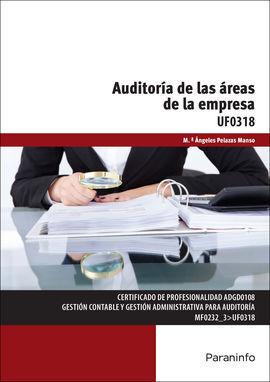 AUDITORIA DE LAS AREAS DE LA EMPRESA