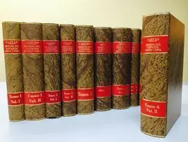 Derecho Civil Español, Comun y Foral