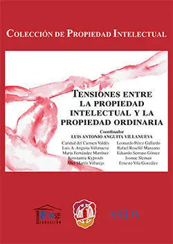 Tensiones entre la Propiedad Intelectual y la Propiedad Ordinaria