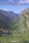 VER O PERECER