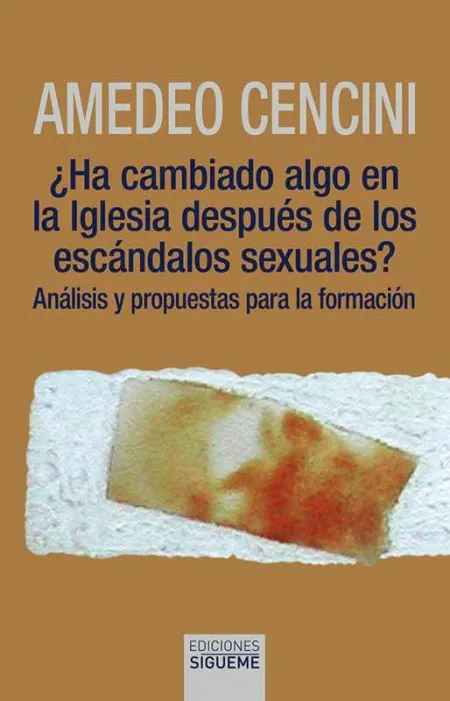 Ha Cambiado Algo en la Iglesia Despues de los Escandalos Sexuales