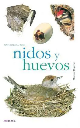 Nidos y Huevos