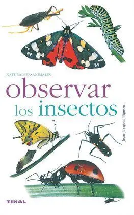 Observar los Insectos