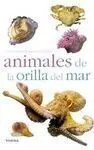 Animales de la Orilla del Mar