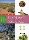 El Olivo Paso a Paso