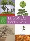 El Bonsai Paso a Paso