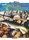 Barbos, Carpas y Otros Ciprínidos con Mosca