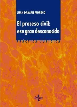 El Proceso Civil: ese Gran Desconocido