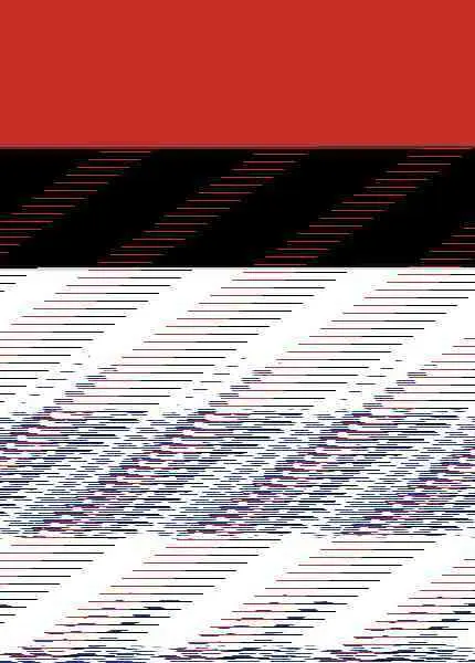 La Denuncia y la Protección de las Personas Denunciantes