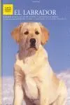 El Labrador