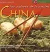 Los Sabores de la Cocina China