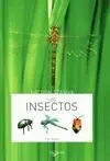 Los Insectos