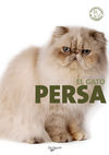 EL GATO PERSA