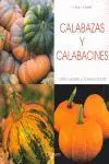 Calabazas y Calabacines