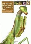 LA MANTIS RELIGIOSAS Y LOS INSECTOS PALO