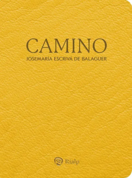 Camino (Bolsillo, Piel Sintética)