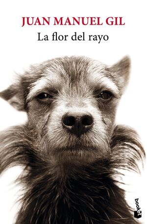 LA FLOR DEL RAYO
