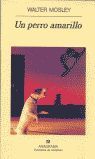 UN PERRO AMARILLO