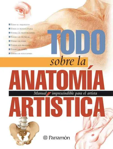 Todo Sobre la Anatomía Artística