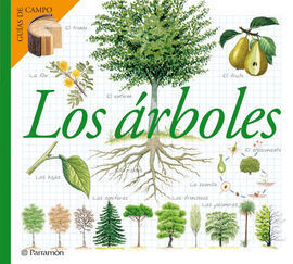 LOS ÁRBOLES