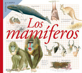 LOS MAMÍFEROS