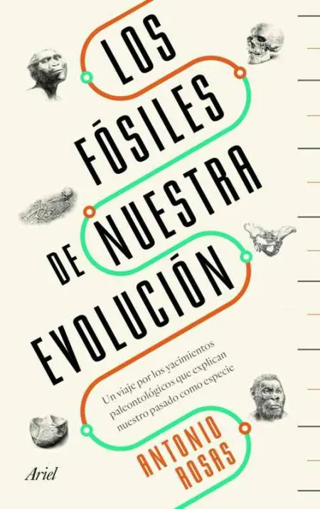 Los Fósiles de nuestra Evolución